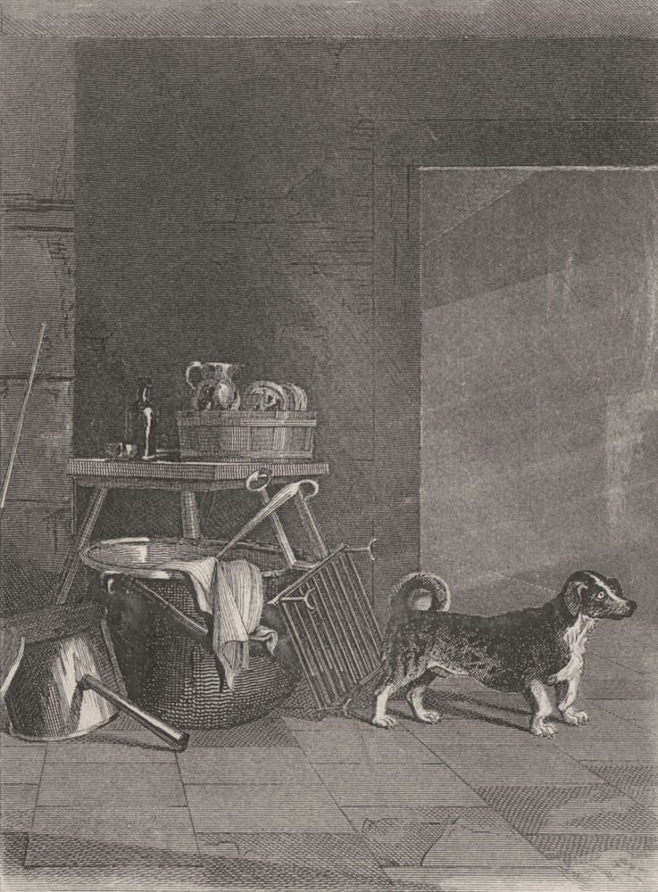 DOGS. Turnspit (Edward Jesse) 1888 old antique vintage print picture
